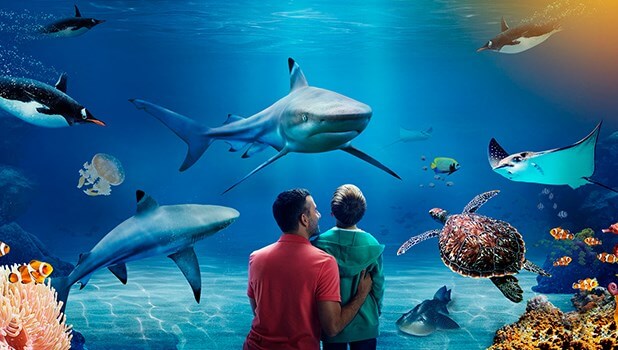 istanbul aquarium